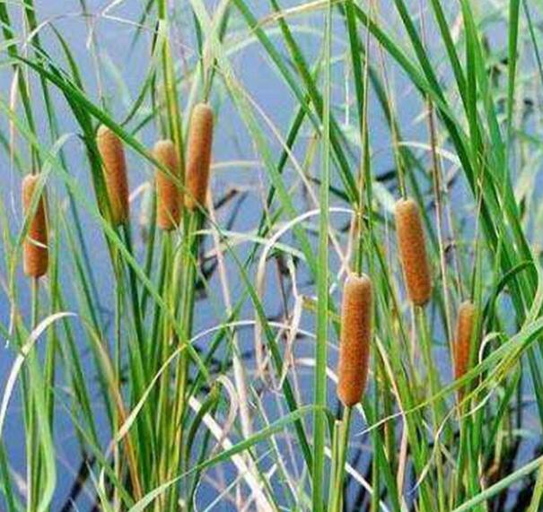 1640228605265639.jpg 1640228605265639.jpg