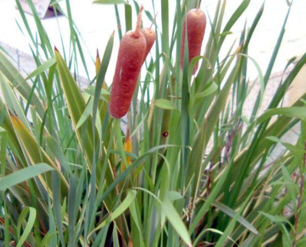 1640228605761697.jpg 1640228605761697.jpg