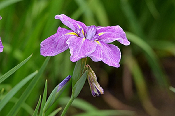 1640228622153676.jpg 1640228622153676.jpg