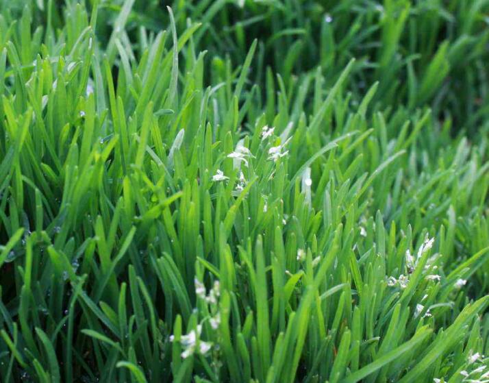 1640244548672943.jpg 1640244548672943.jpg