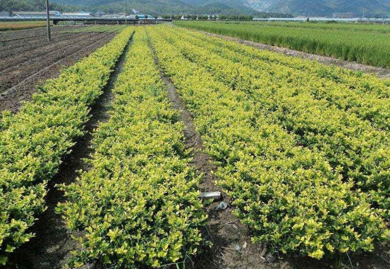 1640322638436468.jpg 1640322638436468.jpg