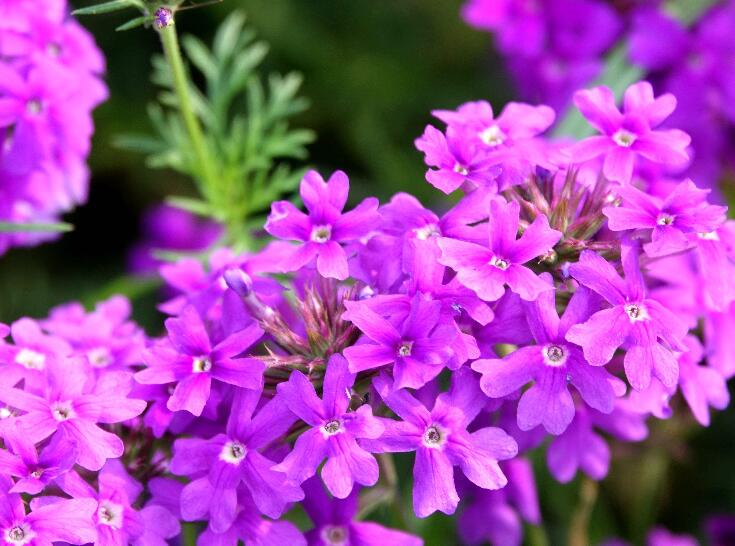 1640441778975404.jpg 1640441778975404.jpg