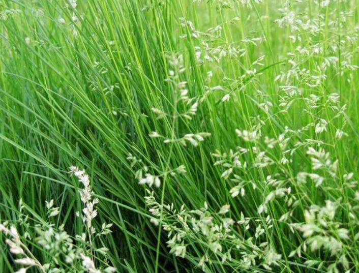 1640527790267507.jpg 1640527790267507.jpg