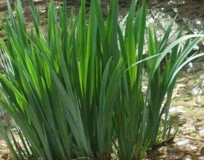 1640529206867762.jpg 1640529206867762.jpg