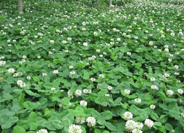 1640531680426812.jpg 1640531680426812.jpg