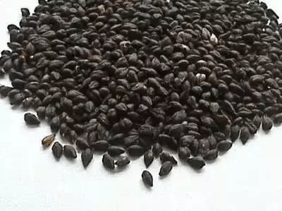 1641211339531006.jpg 1641211339531006.jpg