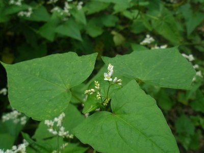 1641211401848242.jpg 1641211401848242.jpg