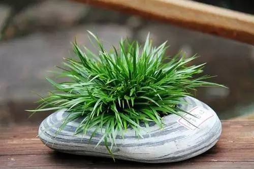 1641724294936651.jpeg 1641724294936651.jpeg