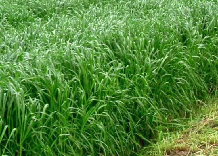 1641794717553169.jpg 1641794717553169.jpg