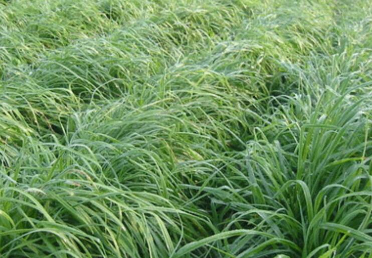 1641795835947016.jpg 1641795835947016.jpg