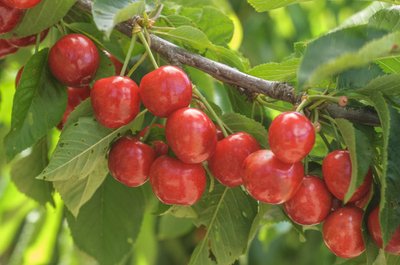 1641898315919705.jpg 1641898315919705.jpg