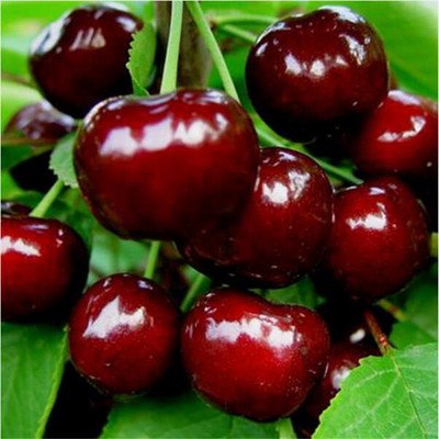 1641898333490723.jpg 1641898333490723.jpg