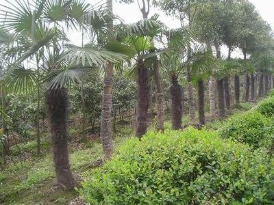 1641898854821158.jpg 1641898854821158.jpg