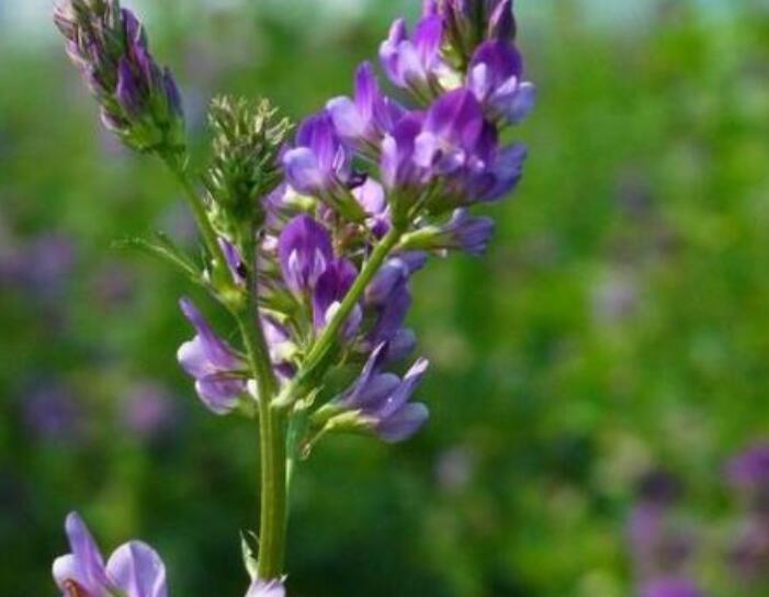 1641911316964233.jpg 1641911316964233.jpg