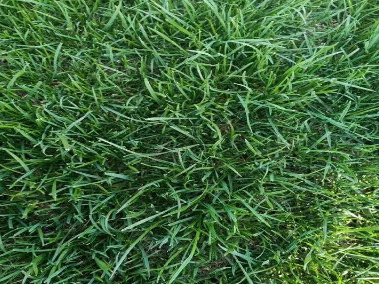 1641911969535208.jpg 1.jpg