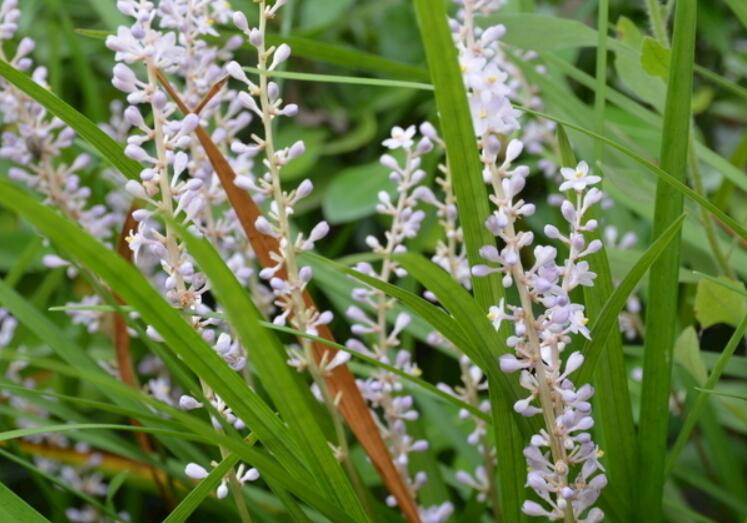 1641977454989735.jpg 1641977454989735.jpg