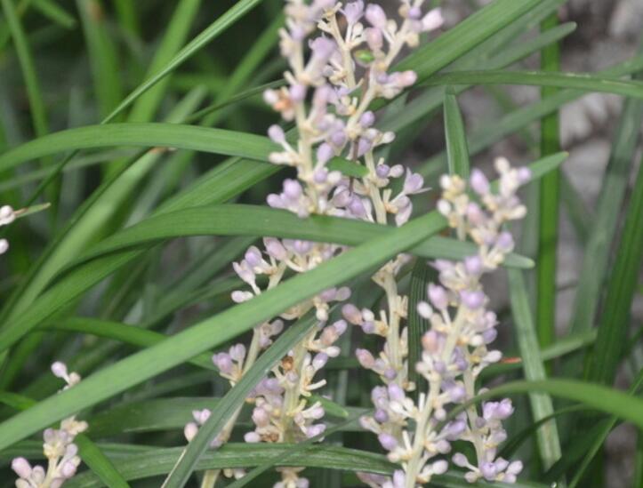 1641977487227163.jpg 1641977487227163.jpg