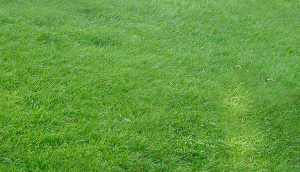 1642234853762674.jpg 1642234853762674.jpg