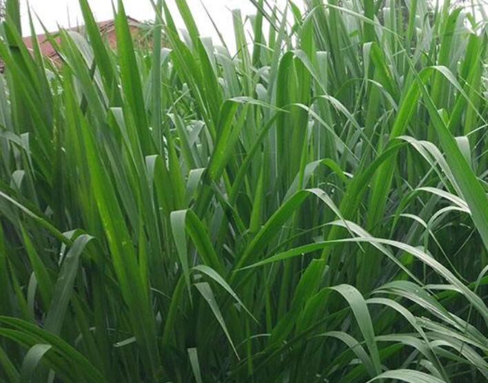 1643544376273543.jpg 1643544376273543.jpg