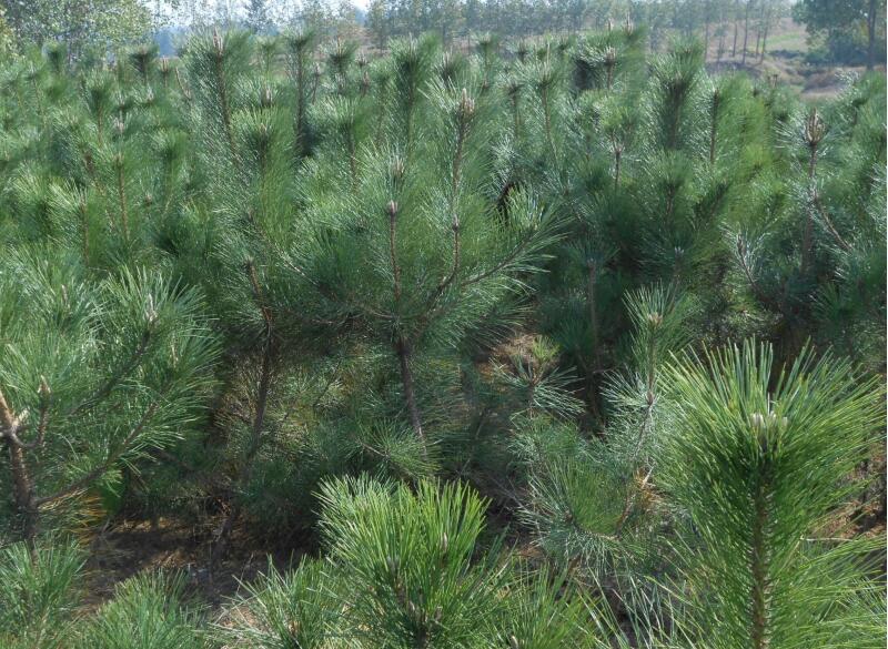 1643974412184360.jpg 1643974412184360.jpg