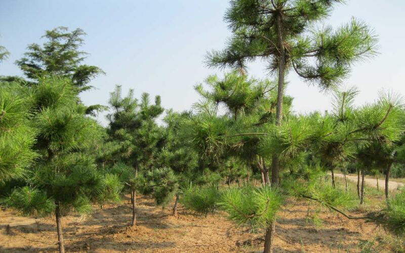 1643974412240054.jpg 1643974412240054.jpg