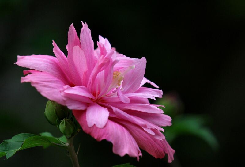 1644077733513649.jpg 1644077733513649.jpg