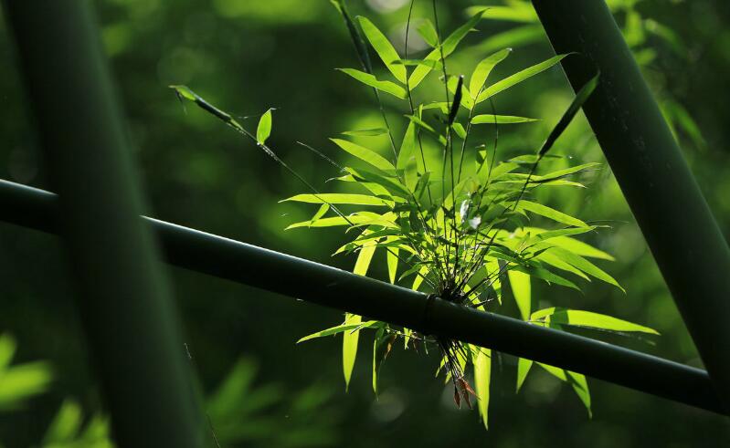 1644119998339185.jpg 1644119998339185.jpg