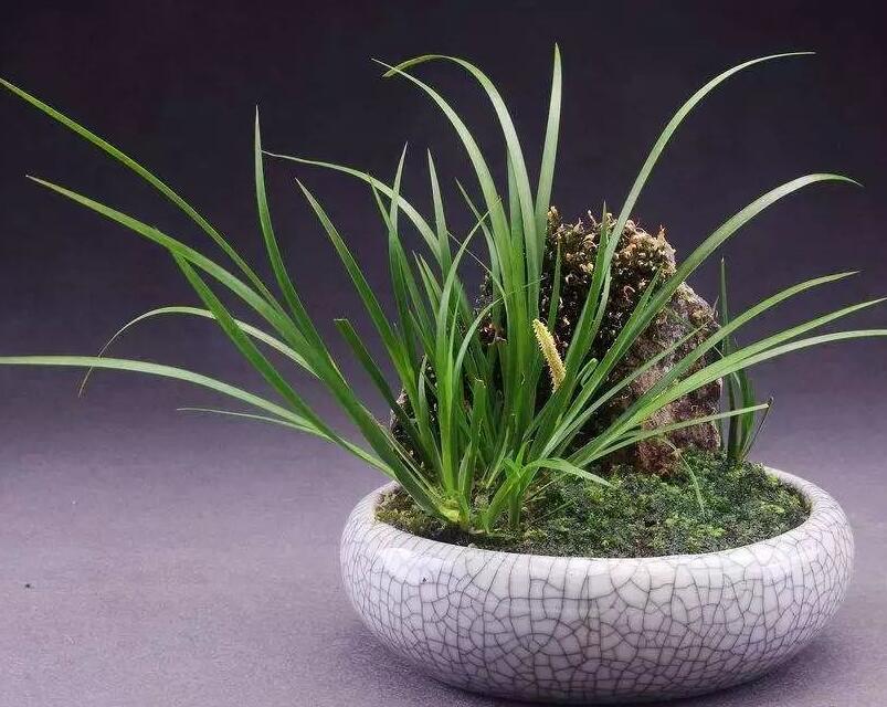 1644120097578511.jpg 1644120097578511.jpg