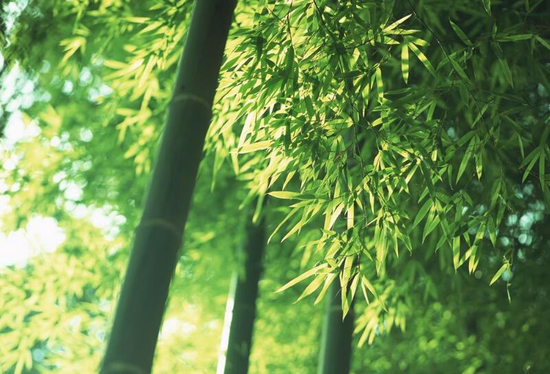 1644222779964656.jpg 1644222779964656.jpg