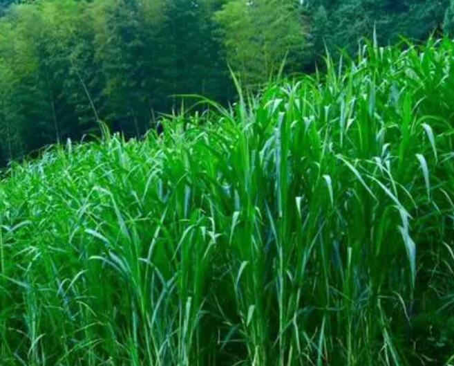 1644288738132903.jpg 1644288738132903.jpg