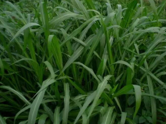 1644288950183105.jpg 1644288950183105.jpg