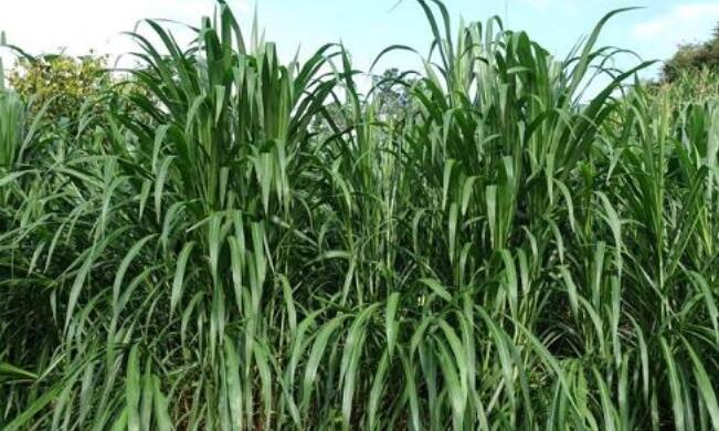 1644295975880827.jpg 1644295975880827.jpg