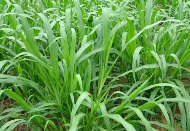 1644574627850805.jpg 1.jpg