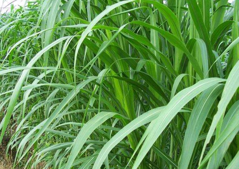 1644574654205001.jpg 3.jpg