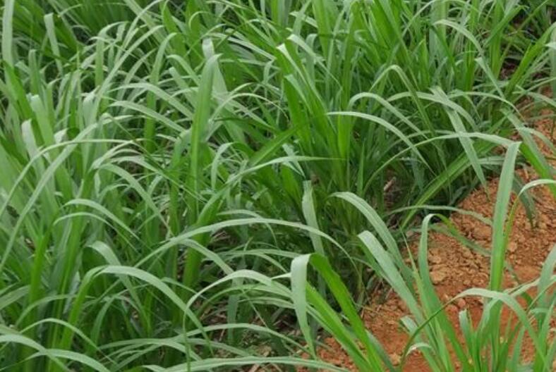 1644584303566038.jpg 1644584303566038.jpg