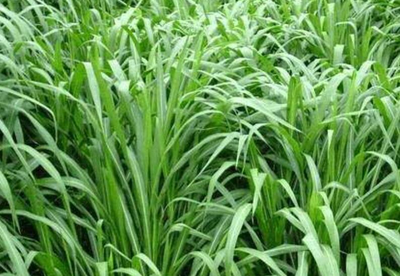 1644584363912014.jpg 1644584363912014.jpg