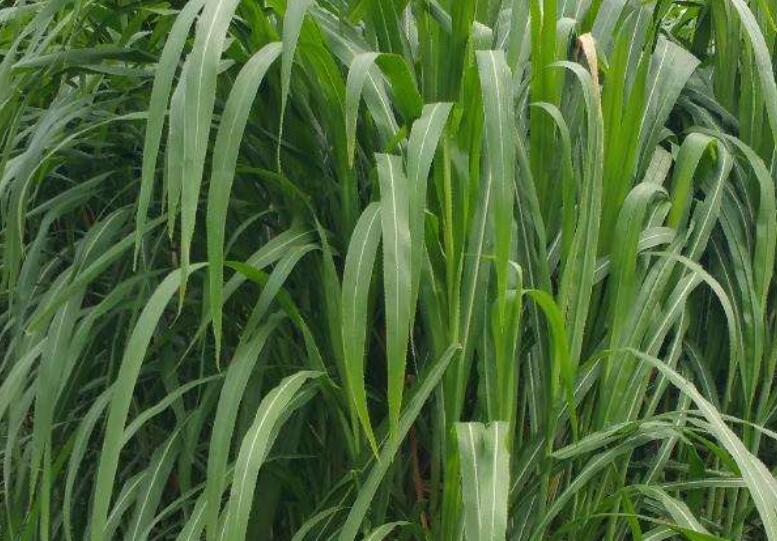 1644584369737133.jpg 1644584369737133.jpg