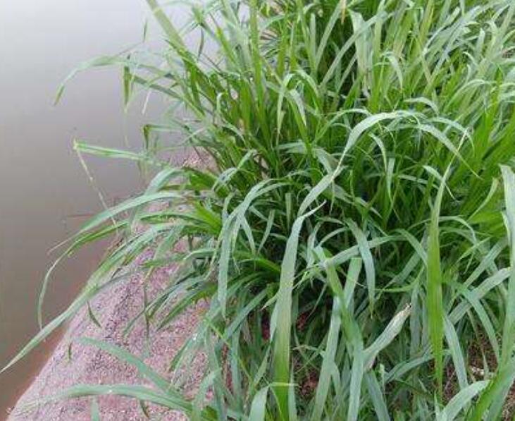 1644651749181926.jpg 1.jpg