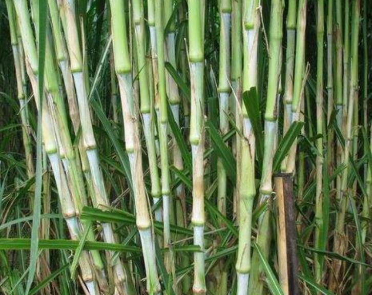 1644651760978738.jpg 2.jpg