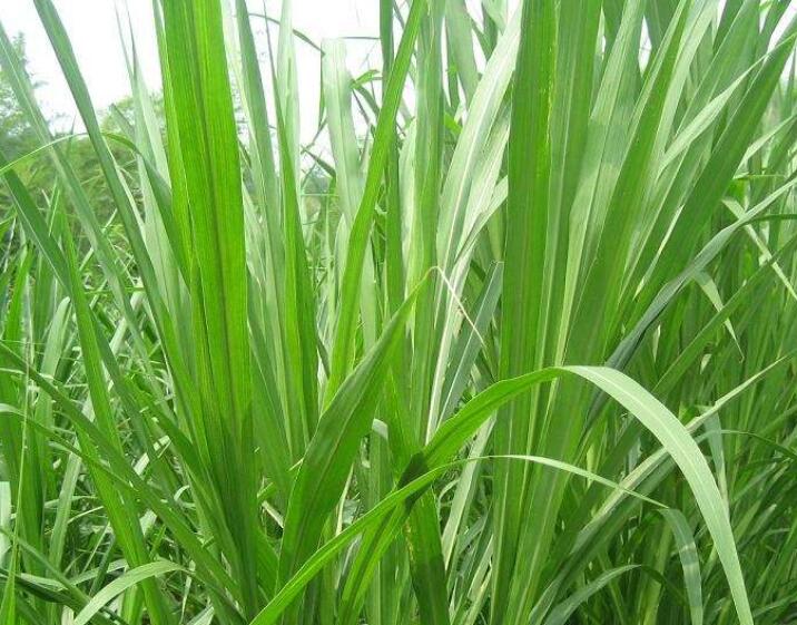 1644651770503099.jpg 3.jpg