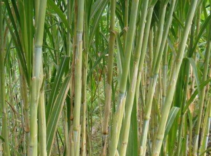 1644652558509416.jpg 2.jpg