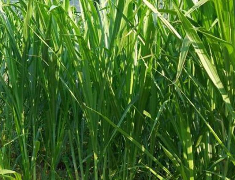 1644669685885364.jpg 1644669685885364.jpg