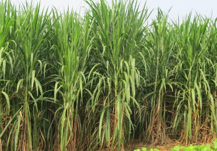 1644670162886858.jpg 1644670162886858.jpg