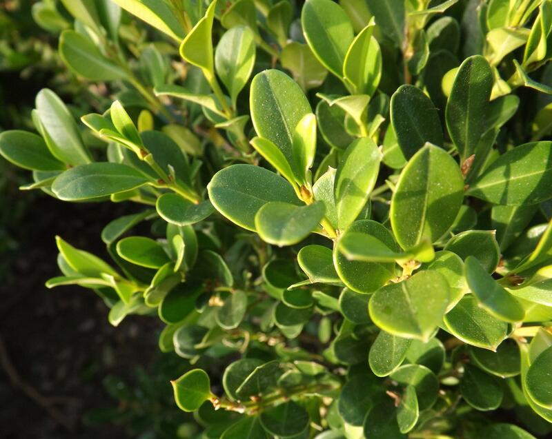 1644730779208985.jpg 1644730779208985.jpg