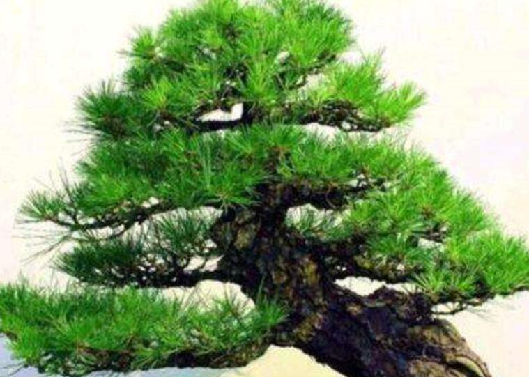 1644757725414505.jpg 1.jpg