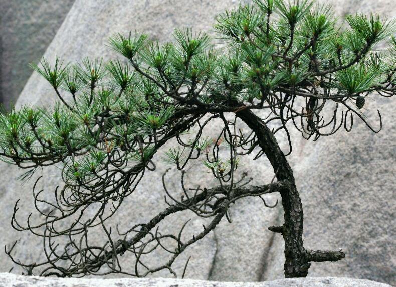 1644757750795108.jpg 2.jpg