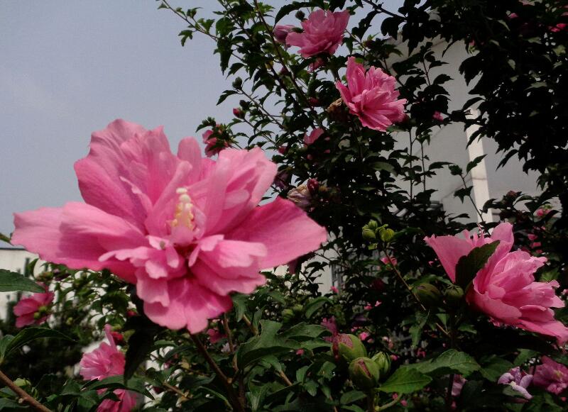 1644898456886147.jpg 1644898456886147.jpg