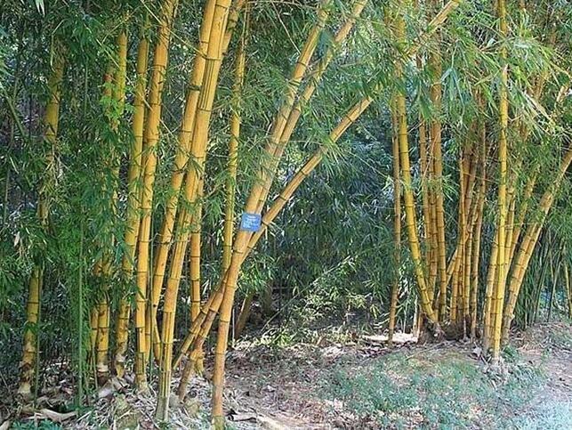 1644901292625526.jpg 1644901292625526.jpg