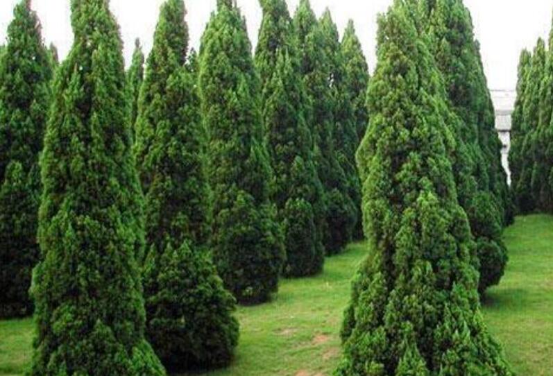 1644936508563889.jpg 1.jpg