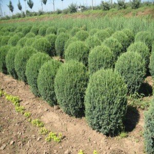 1645007403234520.jpg 1645007403234520.jpg